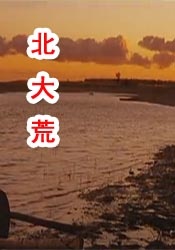 北条麻妃74部作品合集